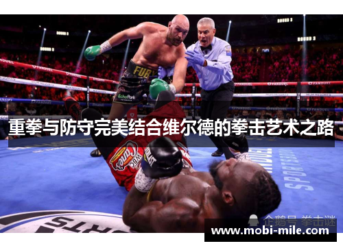重拳与防守完美结合维尔德的拳击艺术之路 重拳与防守完美结合维尔德的拳击艺术之路