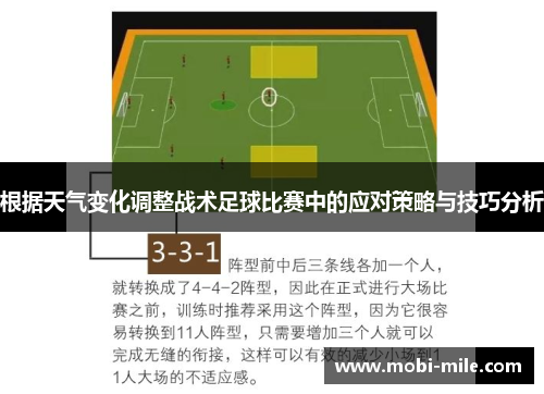 根据天气变化调整战术足球比赛中的应对策略与技巧分析 根据天气变化调整战术足球比赛中的应对策略与技巧分析