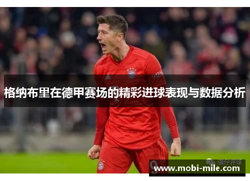 格纳布里在德甲赛场的精彩进球表现与数据分析 格纳布里在德甲赛场的精彩进球表现与数据分析