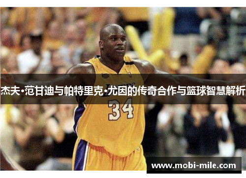 杰夫·范甘迪与帕特里克·尤因的传奇合作与篮球智慧解析 杰夫·范甘迪与帕特里克·尤因的传奇合作与篮球智慧解析