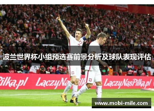波兰世界杯小组预选赛前景分析及球队表现评估 波兰世界杯小组预选赛前景分析及球队表现评估