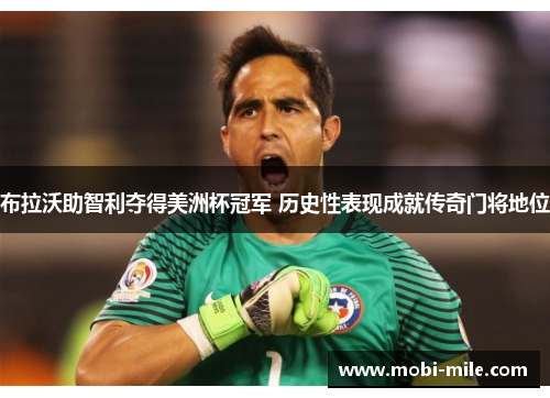 布拉沃助智利夺得美洲杯冠军 历史性表现成就传奇门将地位 布拉沃助智利夺得美洲杯冠军 历史性表现成就传奇门将地位