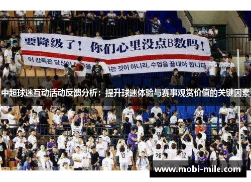 中超球迷互动活动反馈分析：提升球迷体验与赛事观赏价值的关键因素