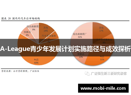 A-League青少年发展计划实施路径与成效探析 A-League青少年发展计划实施路径与成效探析