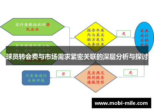 球员转会费与市场需求紧密关联的深层分析与探讨 球员转会费与市场需求紧密关联的深层分析与探讨
