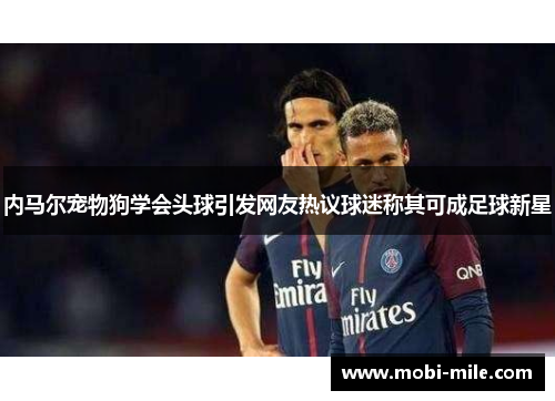 内马尔宠物狗学会头球引发网友热议球迷称其可成足球新星 内马尔宠物狗学会头球引发网友热议球迷称其可成足球新星