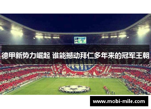 德甲新势力崛起 谁能撼动拜仁多年来的冠军王朝 德甲新势力崛起 谁能撼动拜仁多年来的冠军王朝