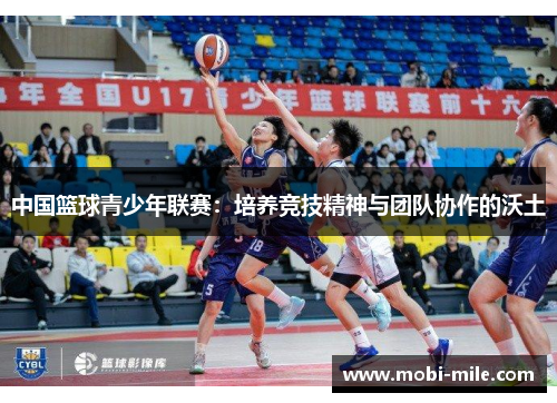 中国篮球青少年联赛:培养竞技精神与团队协作的沃土 中国篮球青少年联赛:培养竞技精神与团队协作的沃土