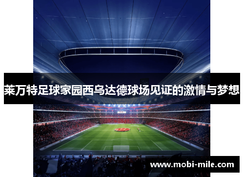 莱万特足球家园西乌达德球场见证的激情与梦想 莱万特足球家园西乌达德球场见证的激情与梦想