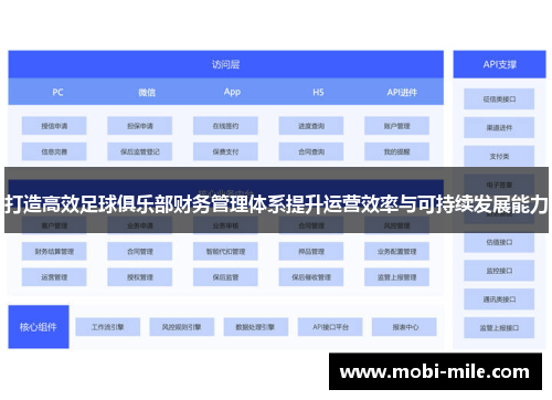 打造高效足球俱乐部财务管理体系提升运营效率与可持续发展能力 打造高效足球俱乐部财务管理体系提升运营效率与可持续发展能力