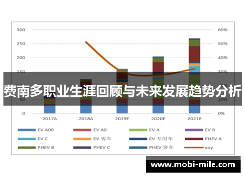 费南多职业生涯回顾与未来发展趋势分析