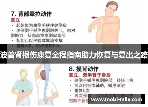 波普肾损伤康复全程指南助力恢复与复出之路 波普肾损伤康复全程指南助力恢复与复出之路