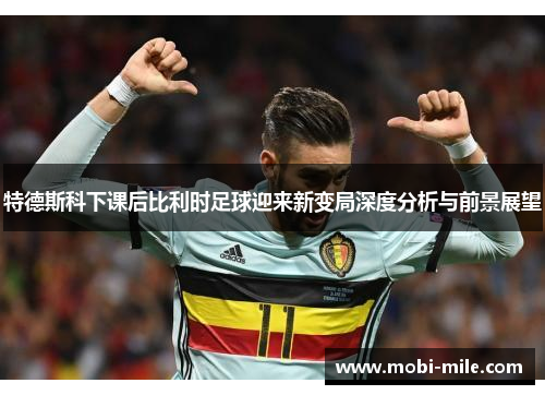 特德斯科下课后比利时足球迎来新变局深度分析与前景展望 特德斯科下课后比利时足球迎来新变局深度分析与前景展望