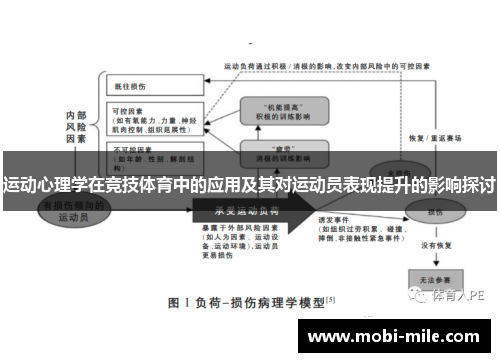运动心理学在竞技体育中的应用及其对运动员表现提升的影响探讨 运动心理学在竞技体育中的应用及其对运动员表现提升的影响探讨