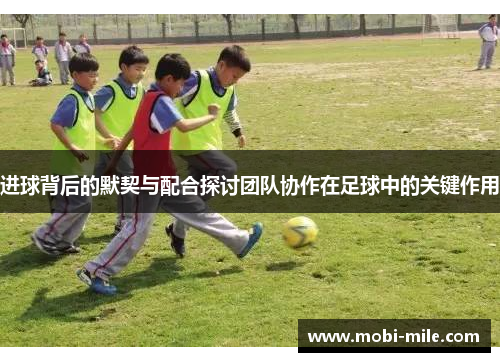 进球背后的默契与配合探讨团队协作在足球中的关键作用 进球背后的默契与配合探讨团队协作在足球中的关键作用