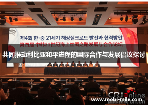 共同推动利比亚和平进程的国际合作与发展倡议探讨