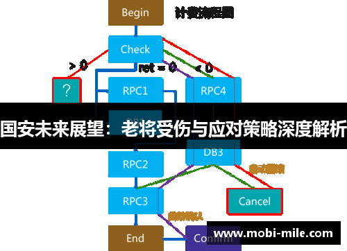国安未来展望：老将受伤与应对策略深度解析