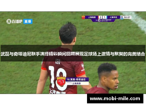 武磊与奇塔迪尼联手演绎精彩瞬间回顾展现足球场上激情与默契的完美结合 武磊与奇塔迪尼联手演绎精彩瞬间回顾展现足球场上激情与默契的完美结合