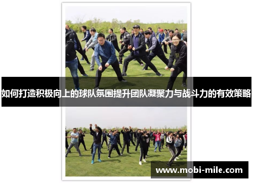 如何打造积极向上的球队氛围提升团队凝聚力与战斗力的有效策略 如何打造积极向上的球队氛围提升团队凝聚力与战斗力的有效策略
