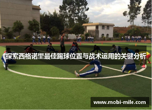 探索西格诺里最佳踢球位置与战术运用的关键分析 探索西格诺里最佳踢球位置与战术运用的关键分析