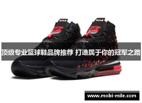 顶级专业篮球鞋品牌推荐 打造属于你的冠军之路 顶级专业篮球鞋品牌推荐 打造属于你的冠军之路