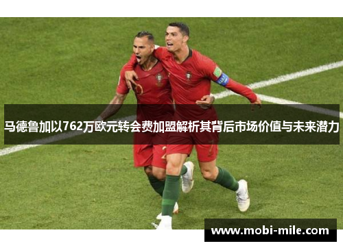马德鲁加以762万欧元转会费加盟解析其背后市场价值与未来潜力
