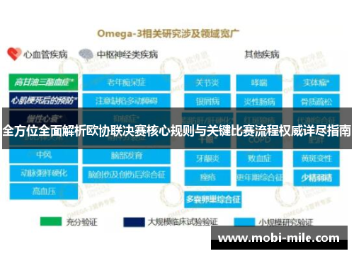 全方位全面解析欧协联决赛核心规则与关键比赛流程权威详尽指南 全方位全面解析欧协联决赛核心规则与关键比赛流程权威详尽指南