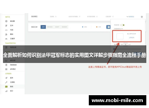 全面解析如何识别法甲冠军标志的实用图文详解步骤指南全流程手册 全面解析如何识别法甲冠军标志的实用图文详解步骤指南全流程手册
