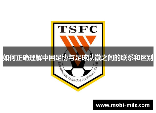 如何正确理解中国足协与足球队徽之间的联系和区别