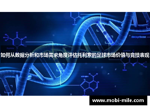 如何从数据分析和市场需求角度评估托利索的足球市场价值与竞技表现 如何从数据分析和市场需求角度评估托利索的足球市场价值与竞技表现