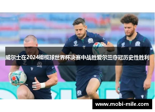 威尔士在2024橄榄球世界杯决赛中战胜爱尔兰夺冠历史性胜利