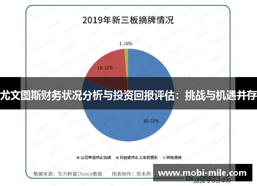 尤文图斯财务状况分析与投资回报评估:挑战与机遇并存 尤文图斯财务状况分析与投资回报评估:挑战与机遇并存
