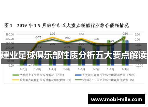 建业足球俱乐部性质分析五大要点解读