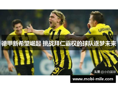 德甲新希望崛起 挑战拜仁霸权的球队逐梦未来