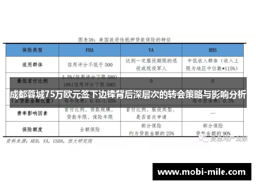成都蓉城75万欧元签下边锋背后深层次的转会策略与影响分析