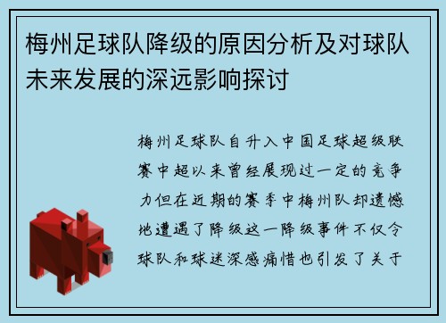 梅州足球队降级的原因分析及对球队未来发展的深远影响探讨