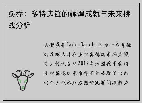 桑乔：多特边锋的辉煌成就与未来挑战分析